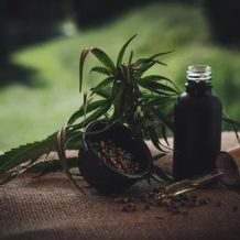 CBD cancer : l’huile de cannabis est-elle réellement efficace ?