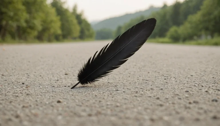 signification plume noire